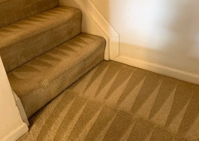 Business Carpet Cleaning in Maryland