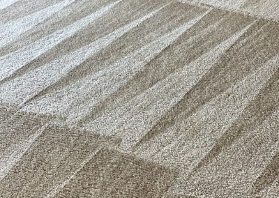 Steam Carpet cleaning in Pasadena MD