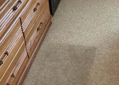 Professional Steam Carpet Cleaning Services Glen Burnie