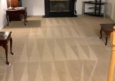 Professional Steam Carpet Cleaning Services Maryland