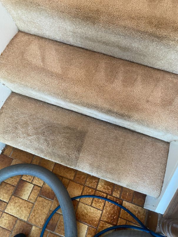 9 Important Steps for Carpet Repair at Home  Carpet Patch - Carpet  Cleaning Grayson, Duluth, Dacula, Buford, Lawrenceville GA